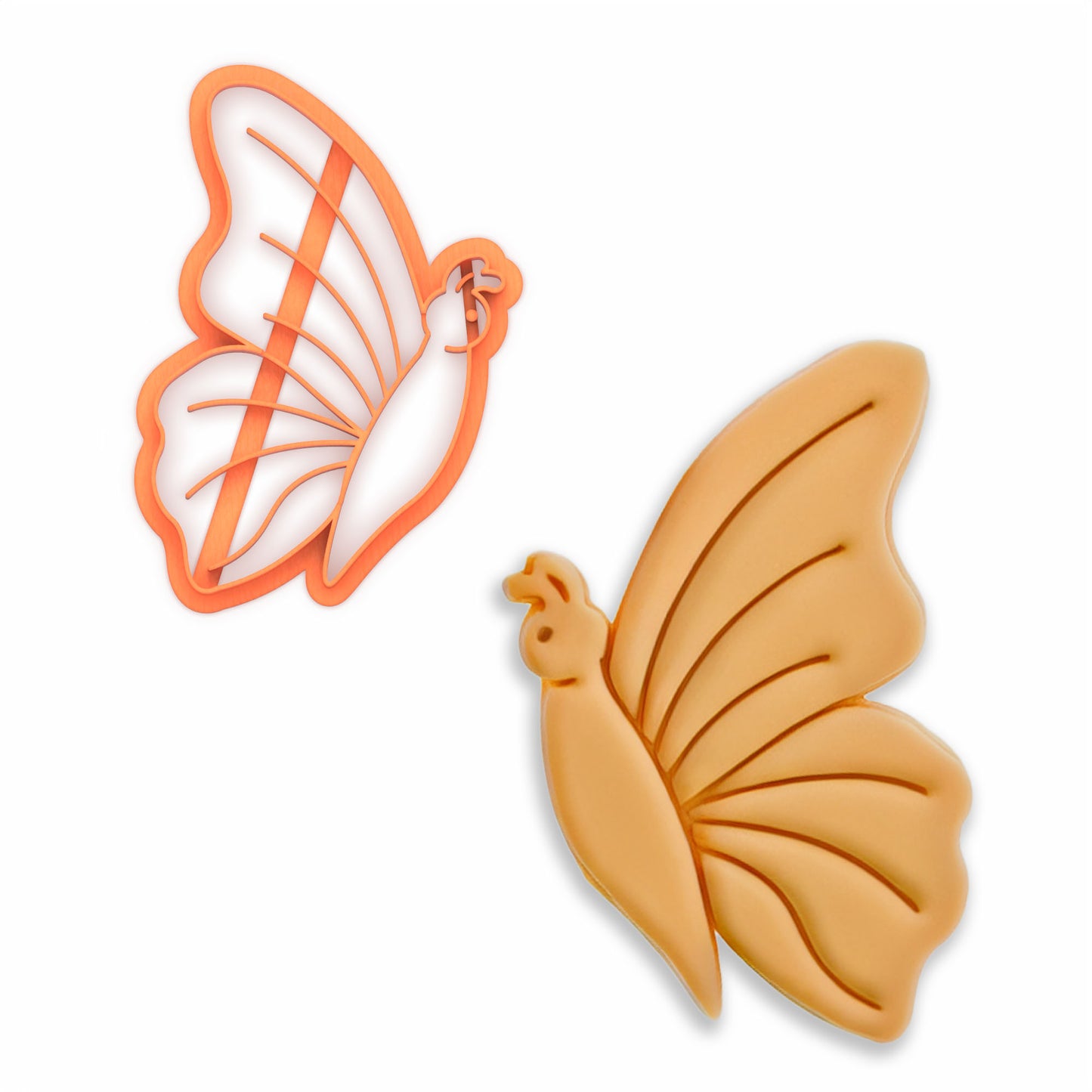 Latający Motyl